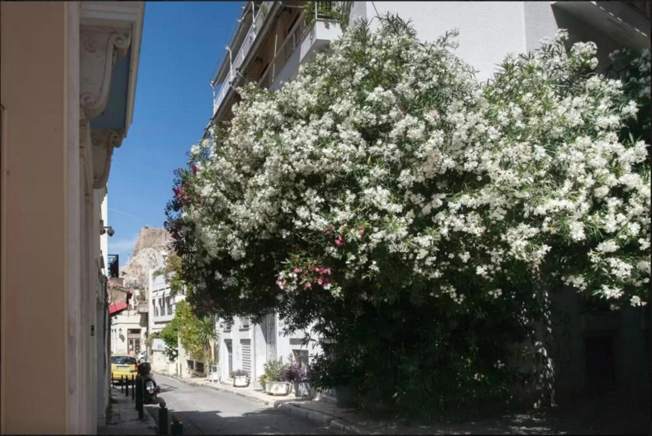 By The Acropolis, In The Heart Of Plaka! Leilighet Athen Eksteriør bilde